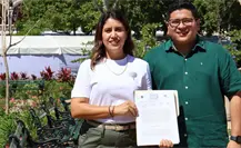 Regidores de MC envían propuesta para proteger a los árboles de Mérida Regidores de MC envían propuesta para proteger a los árboles de Mérida