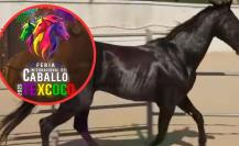 Feria Internacional del Caballo Texcoco 2025: estos cantantes se presentarán en el Palenque