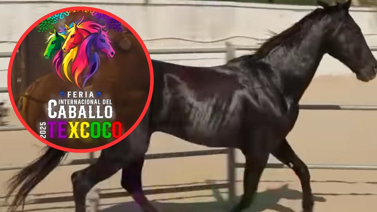 Feria Internacional del Caballo Texcoco 2025: estos cantantes se presentarán en el Palenque