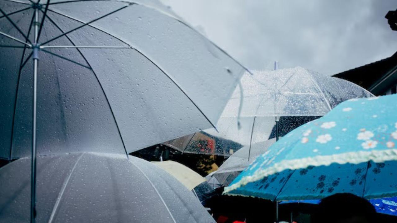 Lluvias seguirán en el Edomex. Foto: Freepik