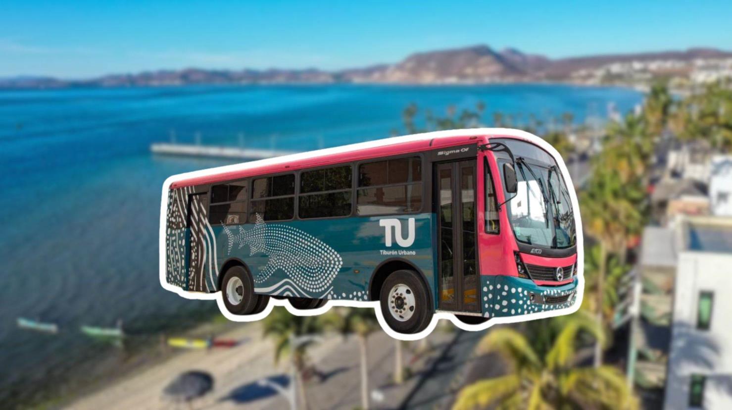 Usuarios del Tiburón Urbano se quejan de la nueva frecuencia en la ruta Vinoramas, donde ahora solo pasa un camión, generando largas esperas. Foto 1: Turismo La Paz | Foto 2: Ayuntamiento La Paz