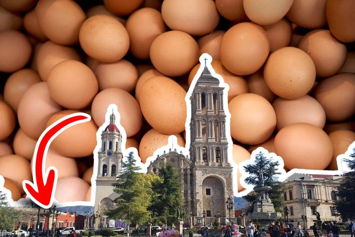 Guía para conseguir huevo orgánico en Saltillo / Foto: Archivo POSTA | Canva