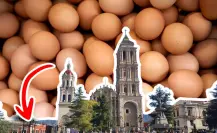 ¿Dónde encontrar huevo orgánico en Saltillo?