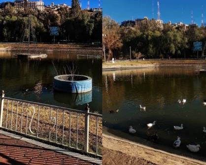 ¿Cuántos parques públicos tiene Durango y por qué son ideales para un día de campo?