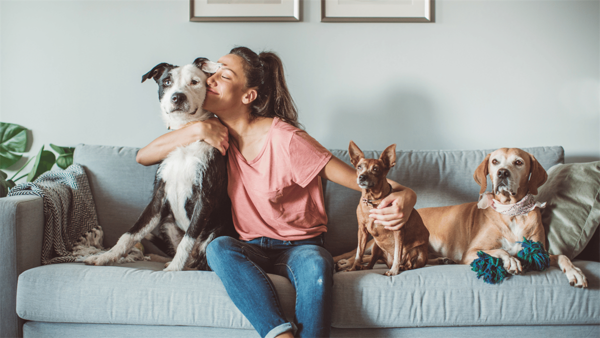 Día Mundial de Amar a tu mascota. Foto: Canva.