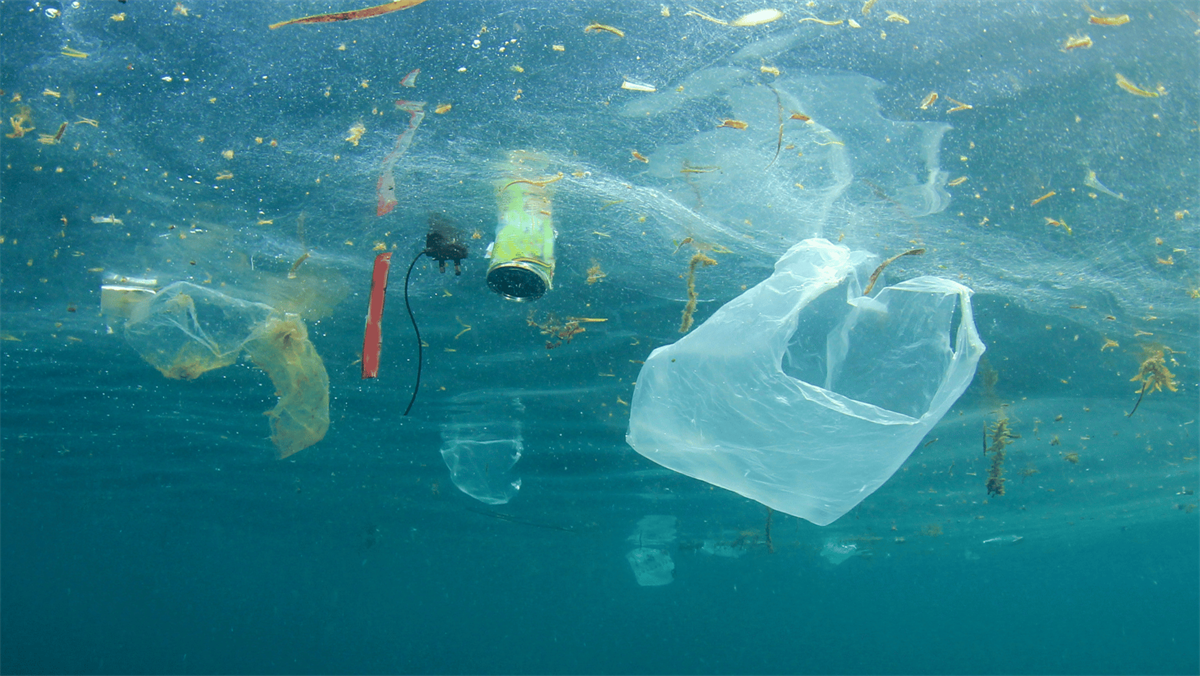 Las ballenas confunden el plástico con comida. Foto: Canva.