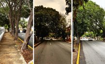 Conoce la avenida Colón, una de las más antiguas de Mérida, según historiadores