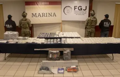 Decomisan más de 22 mil dosis de cocaína, drogas sintéticas y animales exóticos en Altamira