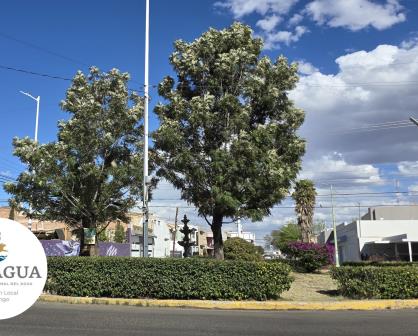 Clima en Durango: se esperan incrementos en las temperaturas este sábado 22 de febrero 