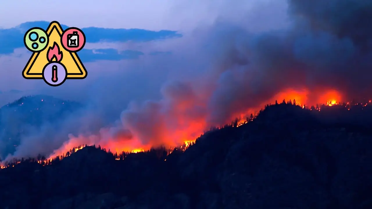 Identifica los elementos que, unidos, desencadenan los incendios forestales | Foto: canva (imagen ilustrativa)