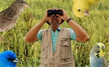 MUSAVE invita al Primer Encuentro de Observadores de Aves 2025, estas son las fechas MUSAVE invita al Primer Encuentro de Observadores de Aves 2025, estas son las fechas