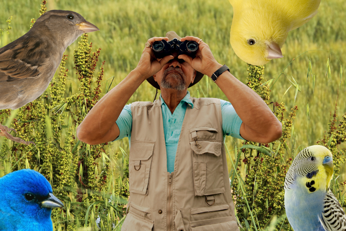 MUSAVE invita al Primer Encuentro de Observadores de Aves 2025, estas son las fechas