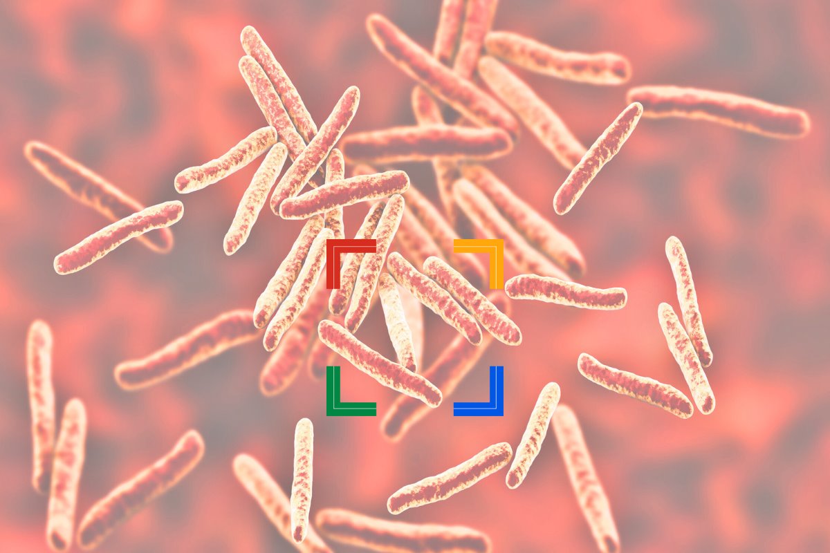 La IA de Google ayuda a científicos a resolver problemas complejos de superbacterias en solo 48 horas. Foto: Canva