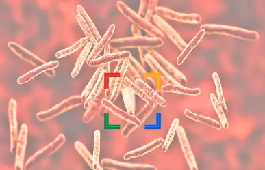 El enigma de las superbacterias que la IA solucionó en tiempo récord
