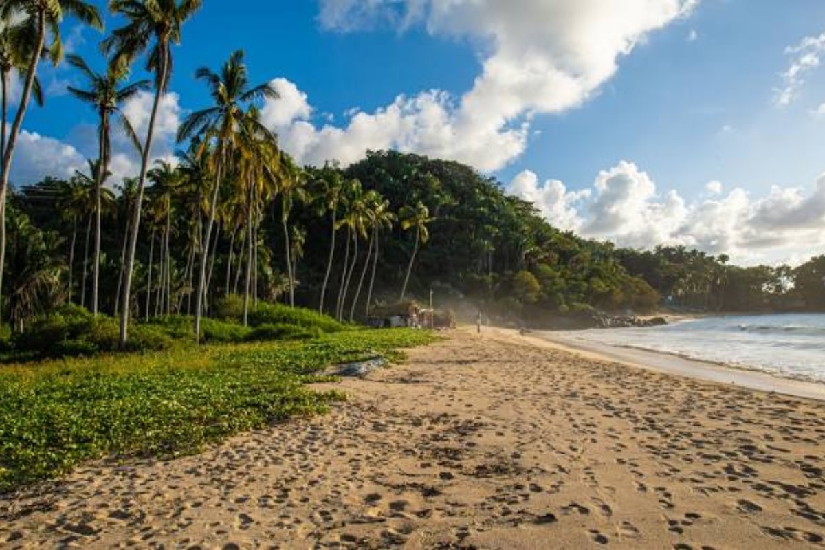 San Pancho, en la Riviera Nayarit, ofrece paisajes impresionantes, playas tranquilas y una cultura vibrante que no te puedes perder. Foto: Google