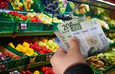 Esta cantidad de dinero se necesita para comprar una despensa de 15 días en Yucatán