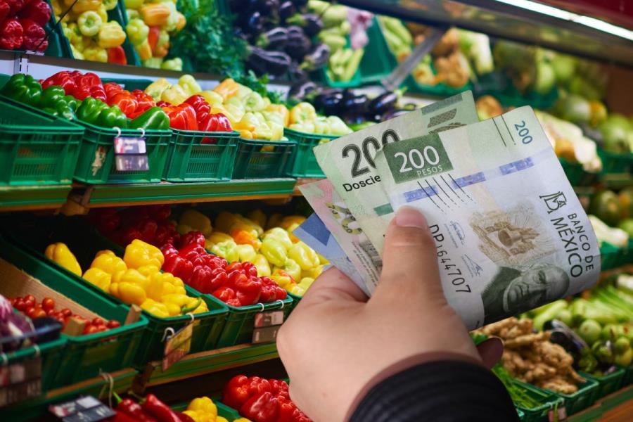 Esta cantidad de dinero se necesita para comprar una despensa de 15 días en Yucatán