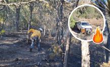 Incendio de Los Lirios, Arteaga: ¿Qué daños ocasionó al medio ambiente de Coahuila? 