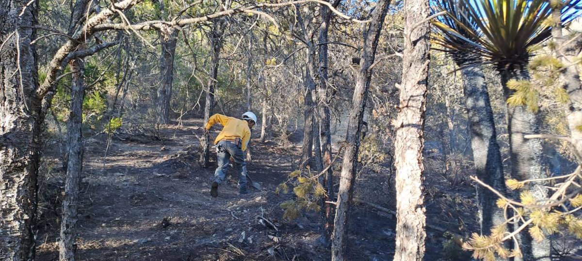 Trabajos de Protección Civil para contener el incendio en Los Lirios, Arteaga / Foto: Protección Civil Santiago 