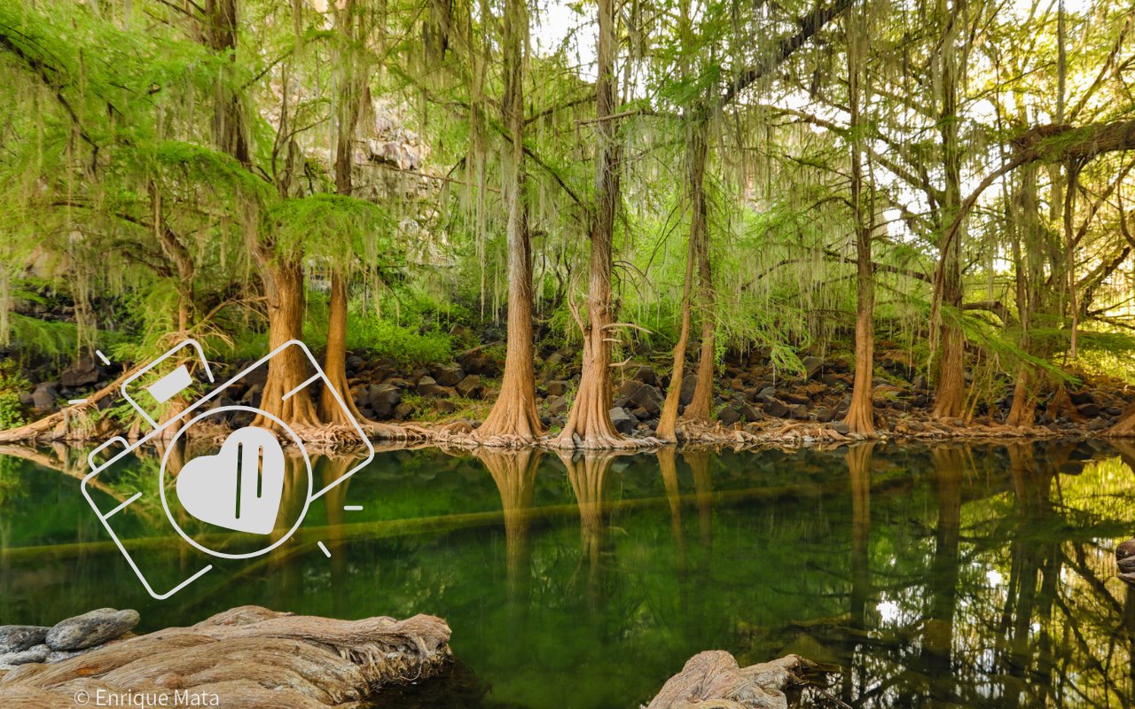 Este lugar tiene agua durante todo el año. Foto: Facebook Turismo Durango.