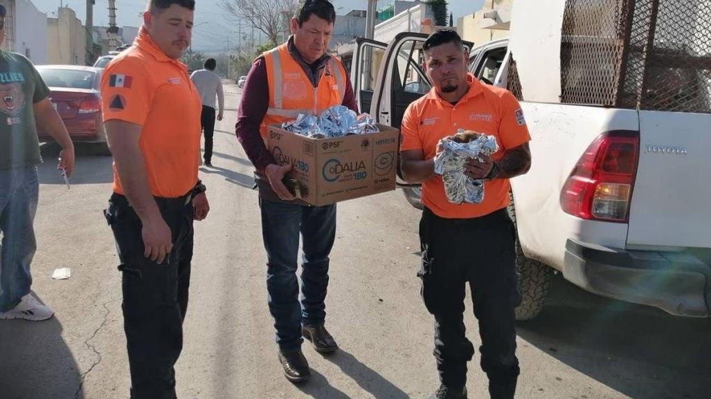 Rescatan a cachorros de incendio en Juárez