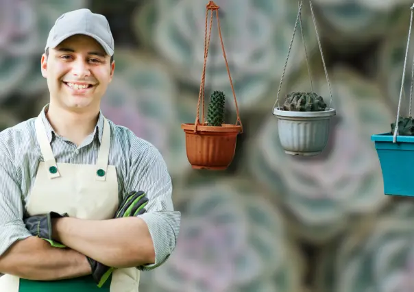 ¿Quieres renovar tu casa? Alegra tu hogar con estas suculentas colgantes