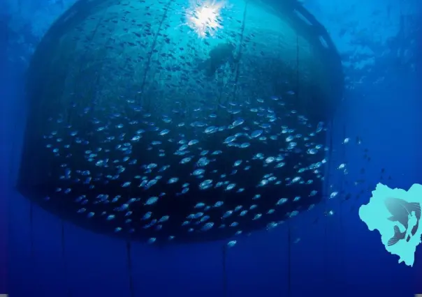 3 especies de pescado que produce la región de Durango que tiene granjas acuícolas