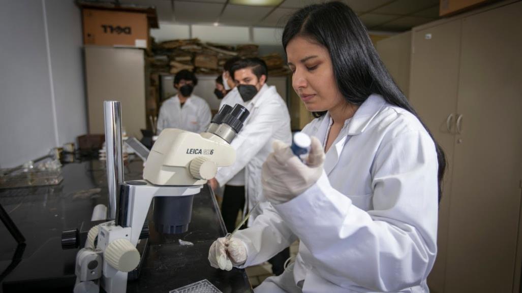 Estudiantes de UAEMéx crean proyecto para usar nanopartículas en el cáncer