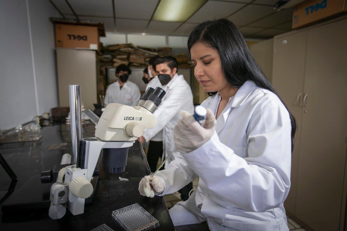 La investigadora mexiquense busca innovar en el tratamiento del cáncer. Imagen: UAEMÉX