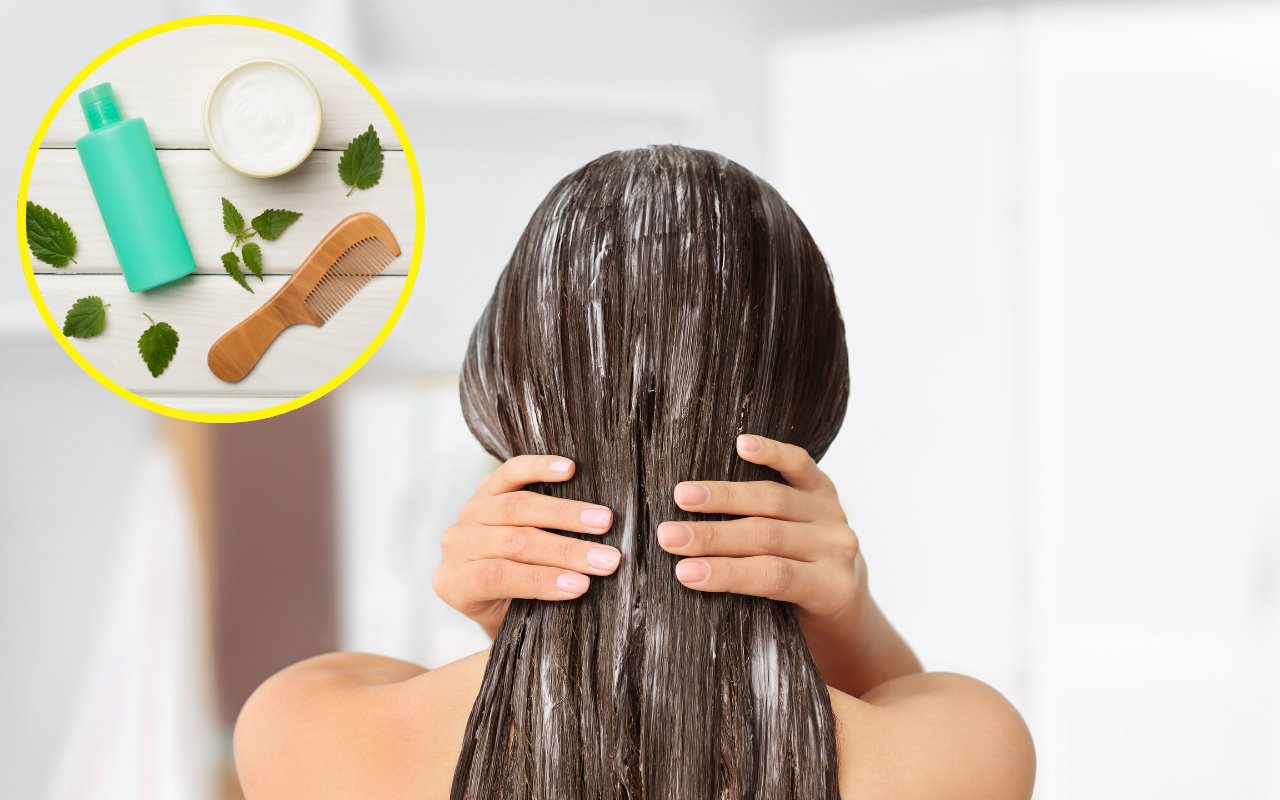 Las vitaminas y minerales de la ortiga o planta que pica son muy benéficos para el crecimiento y fortalecimiento del cabello. Foto: Canva