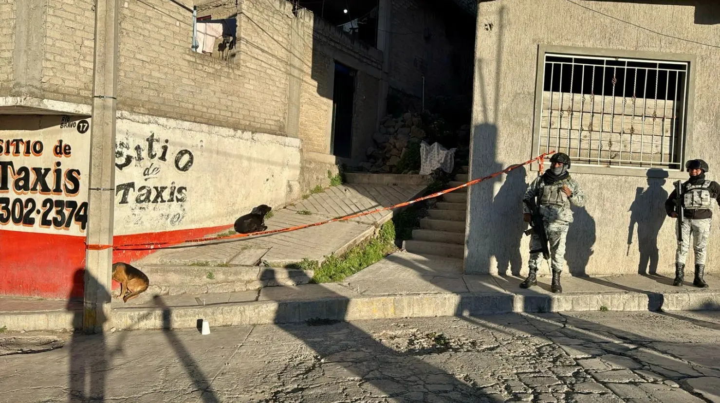 Las autoridades correspondientes se encuentran investigando el caso para dar con los responsables. Imagen: Cortesía