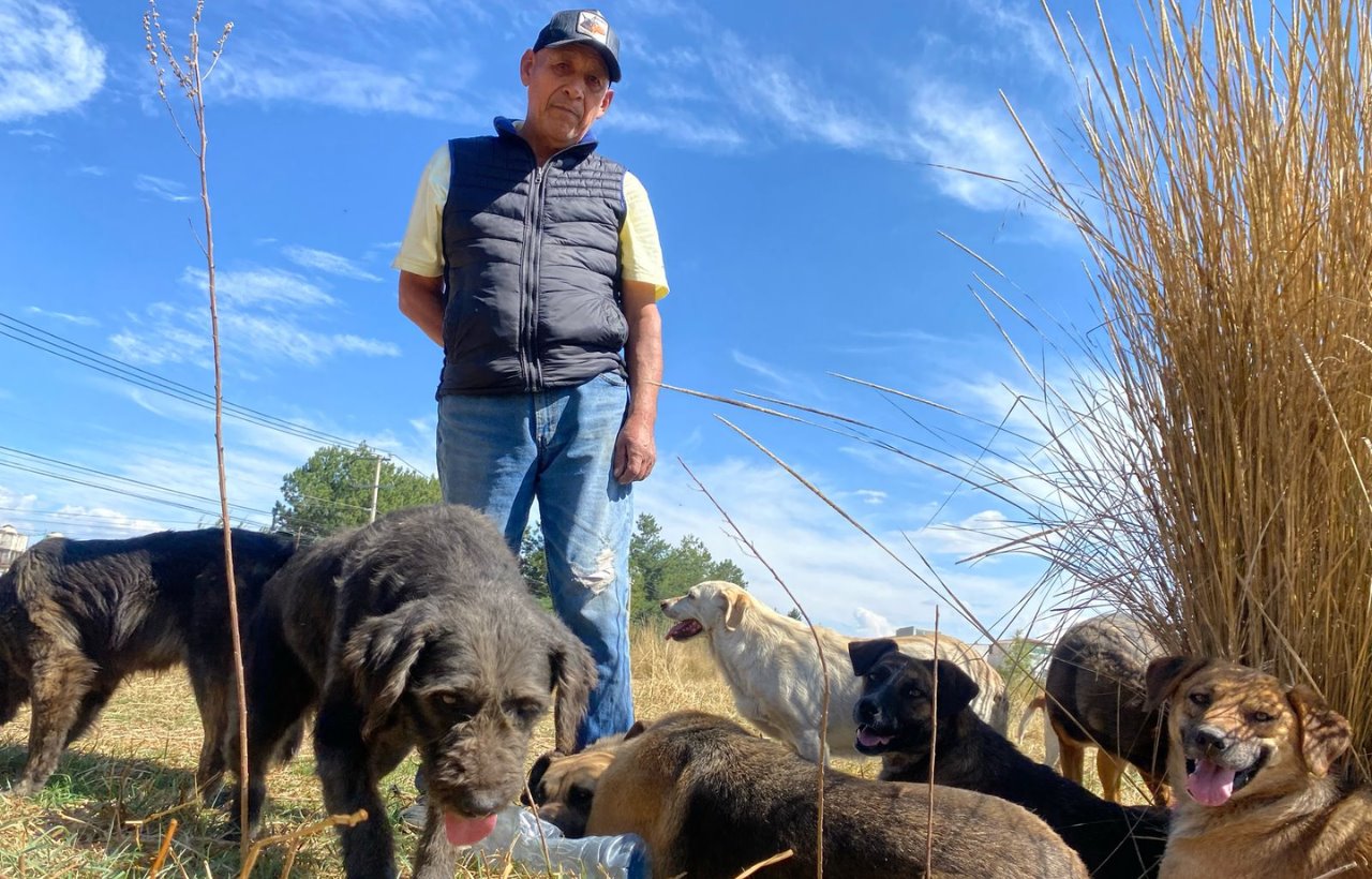 Alejandro Ramírez Ramírez se ha dedicado a cuidar y mantener el refugio de perros durante 8 años. Foto: Posta.