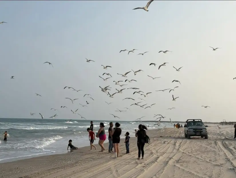 Playa La Pesca. Foto: Facebook de La Pesca.
