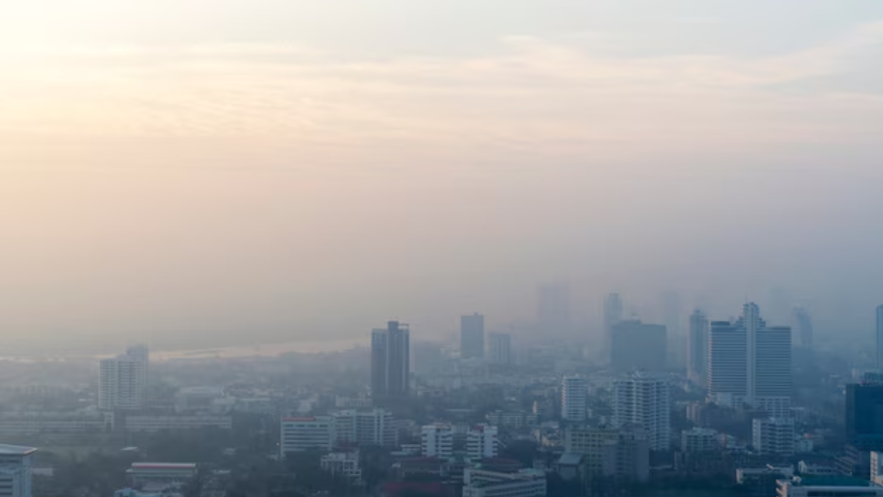 Este jueves 27 de febrero habrá doble Hoy No Circula en el Valle de México. Foto: Freepik.