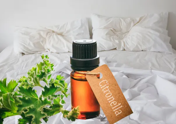¡Dile adiós a los ácaros! Estos aromas naturales los eliminan fácil y rápido