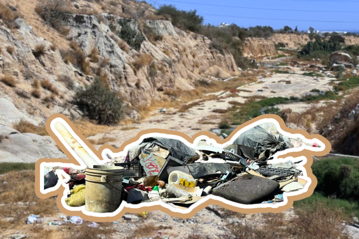 Multas de hasta 1 millón de pesos por tirar basura en Los Cabos. Foto: Irving Thomas / POSTA BCS