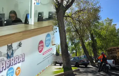 ¿Debes 2, 3, 4, 5 o más años de Refrendo en Durango? Estos son los descuentos vigentes
