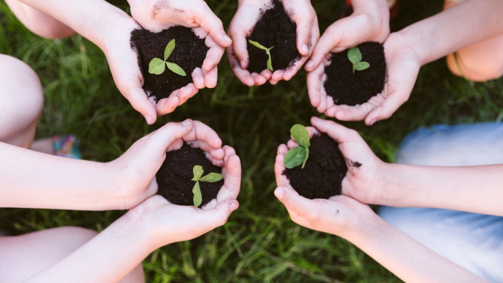 Estos son los requisitos para adoptar un árbol en Monterrey