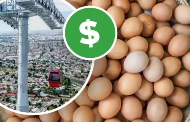 Precio del huevo en Torreón: ¿un aumento alarmante para la Región Laguna? 