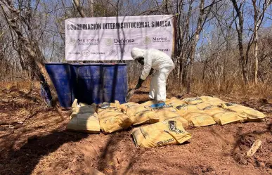 Ejército desmantela narcolaboratorio en sierra de Durango