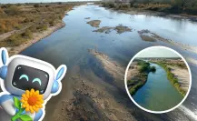 ¿Cómo se vería el Río Sabinas en 2050 según la IA?