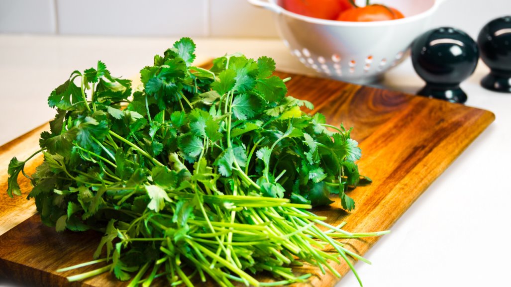 Cilantro: 5 beneficios para la salud de esta hierba aromática