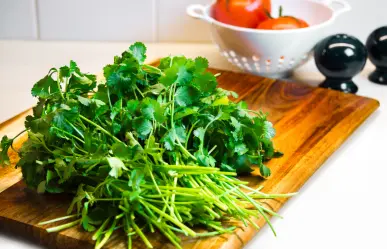 Cilantro: 5 beneficios para la salud de esta hierba aromática