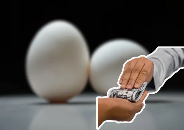 ¿Qué puede pasar si te descubren traficando huevos a EU? Esto se sabe
