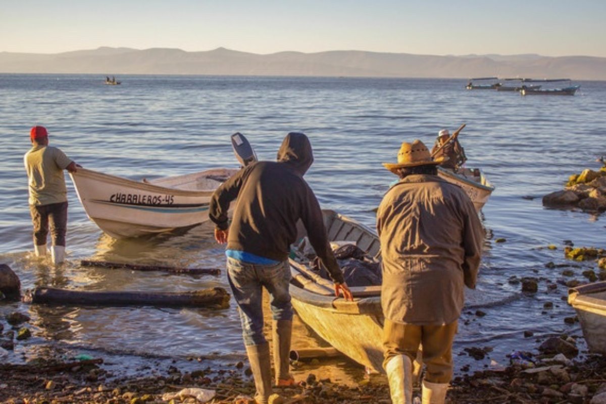 Pescadores de México | Foto: gobierno de México