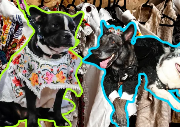 Carnaval de Mérida 2025: Estos son los vestuarios de los reyes caninos para sus desfiles