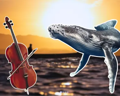 ¡Se llevó con éxito Sinfonía oceánica en Los Cabos!