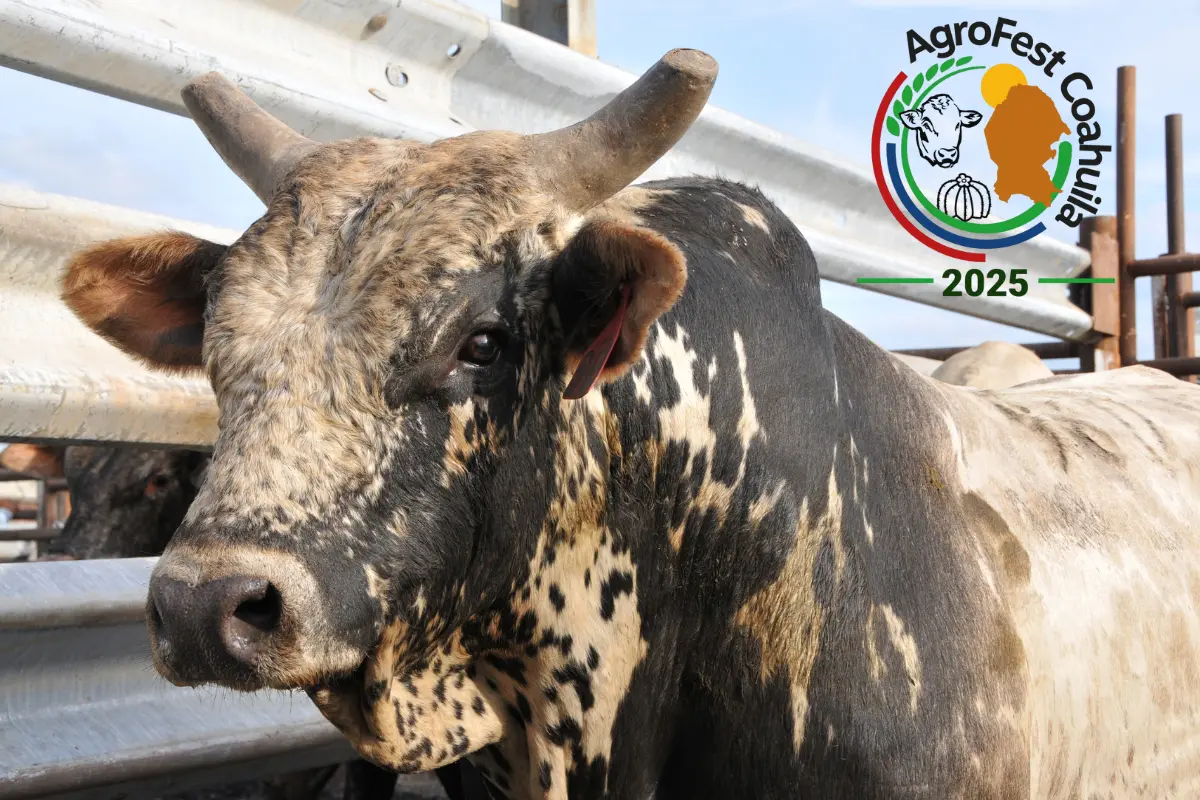 El AgroFest se llevará a cabo en las instalaciones de la Feria de Saltillo, un espacio ideal para albergar las diversas actividades planeadas./Foto: Canva/Agrofest