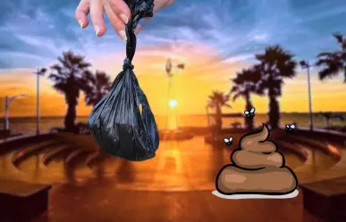 Jardineras del Malecón de La Paz usadas como sanitarios causan indignación