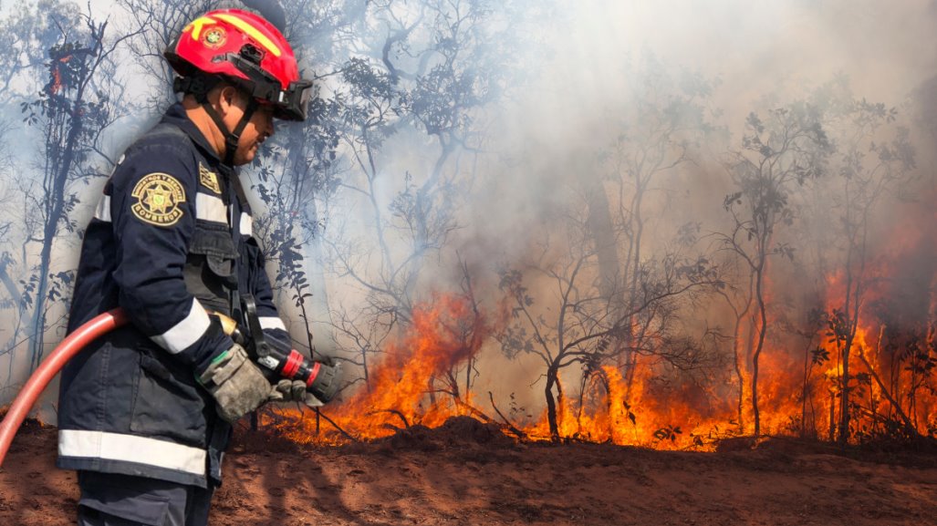 Este 1 de marzo inicia la temporada de incendios, ¿en Mérida se han reportado conatos?